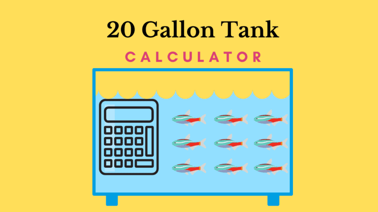 How-Many-Fish-in-20-Gallon-tank-2-768x432.png