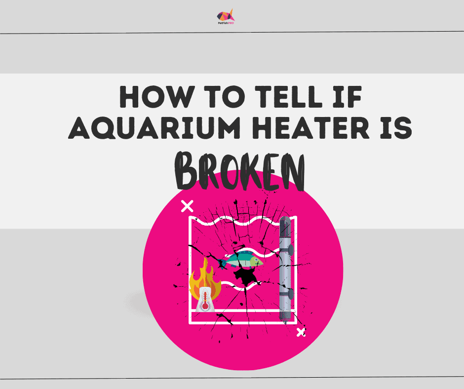 Aquarium heater not working